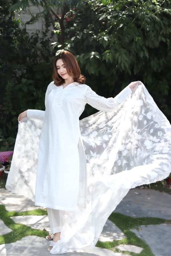 Noor-Haya 3PC Chikan Kari Suit with delicate embroidered Dupatta - Image 5